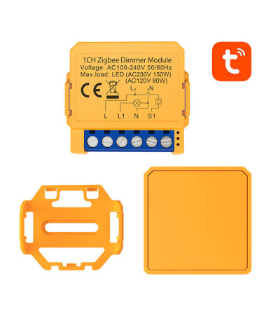 Smart socket switch ZigBee Avatto ZDMS16-2 TUYA