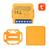 Avatto ZDMS16-1 Presa Intelligente Zigbee TUYA