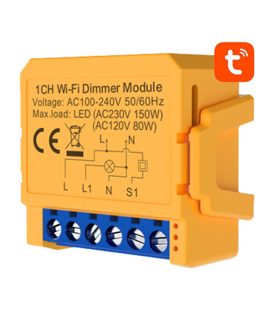 Smart socket switch WiFi Avatto DMS16-2 TUYA