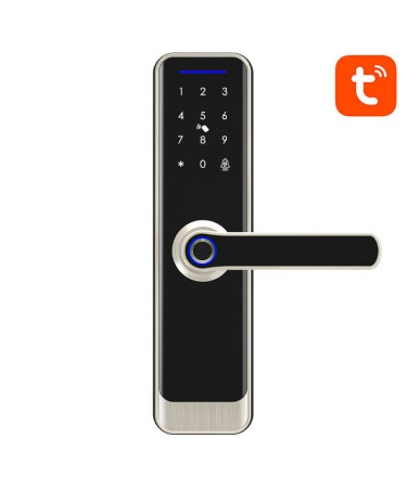 Avatto Smart Digital Lock ZSDL-A270-S-ALI-5572 ZigBee Argento