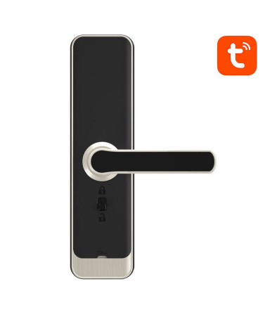 Avatto Smart Digital Lock ZSDL-A270-S-ALI-5572 ZigBee Argento