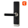 Avatto Smart Lock ZSDL-A270-S-ALI-5572 ZigBee Argento