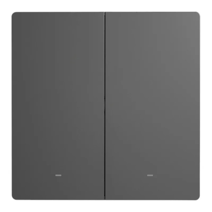 Smart Scene Wall Switch WiFi Sonoff M5 2C (2-channel)