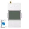 Misuratore Consumo Elettricità SONOFF POWCT 100A WiFi (con sonda)