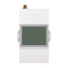 Misuratore Consumo Elettricità SONOFF POWCT 100A WiFi (con sonda)