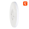 Lampada da Soffitto Smart Gosund LB12 30cm RGBCW WiFi/Bluetooth 1920lm con Telecomando