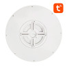 Lampada da Soffitto Smart Gosund LB12 30cm RGBCW WiFi/Bluetooth 1920lm con Telecomando