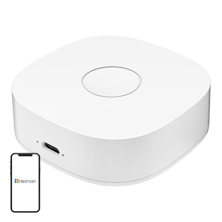 Interruttore a parete WiFi Smart home WS2GW-R