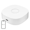 Interruttore a parete WiFi Smart home WS2GW-R
