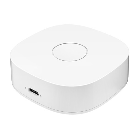 Interruttore a parete WiFi Smart home WS2GW-R