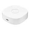 Smart home WS2GW-R WiFi