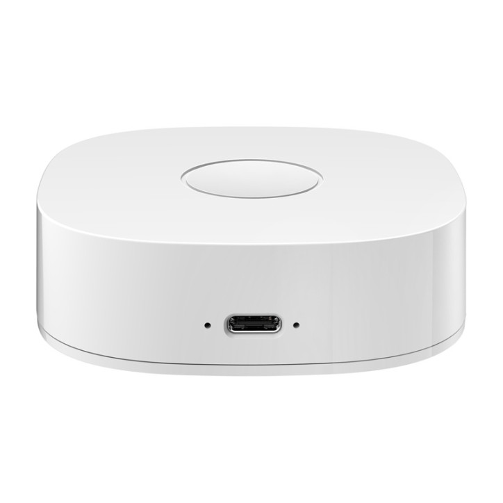 Interruttore a parete WiFi Smart home WS2GW-R