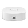 Interruttore a parete WiFi Smart home WS2GW-R