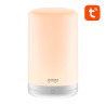 Luce notturna smart WiFi RGB Gosund LB3 Tuya