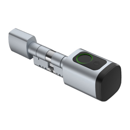 Avatto SDL-V1-S80 Serratura Smart Digitale 80mm Argento