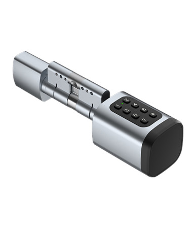 Avatto SDL-V1-S90 Serratura Smart Digitale 90mm Argento