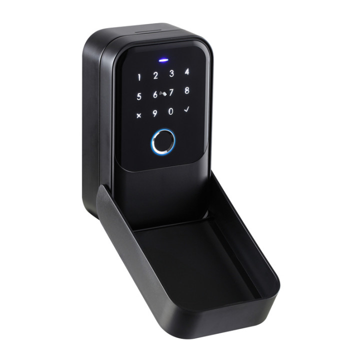 Avatto SDL-K5 Smart Fingerprint Locker Nero