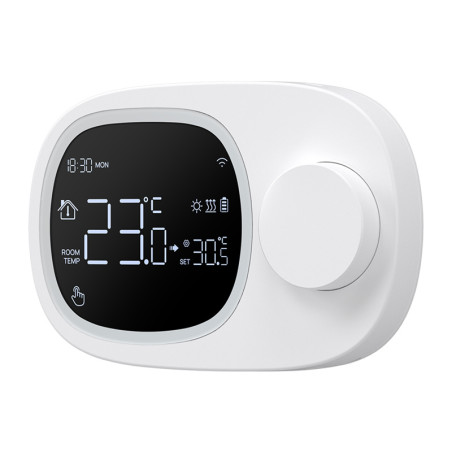 AVATTO WT598 Termostato Intelligente WiFi