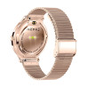 Colmi V89 smartwatch (oro acciaio inossidabile)