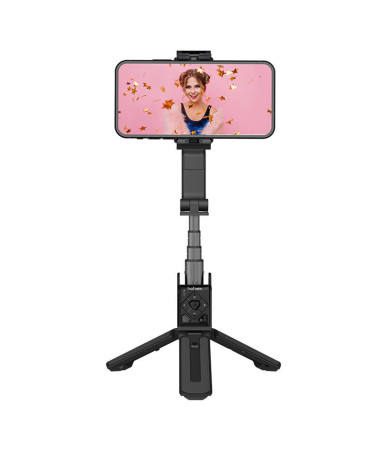 Gimbal Hohem iSteady Q
