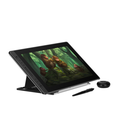 Huion Kamvas Pro 16 GT156 Tavoletta Grafica 15.6" Full HD