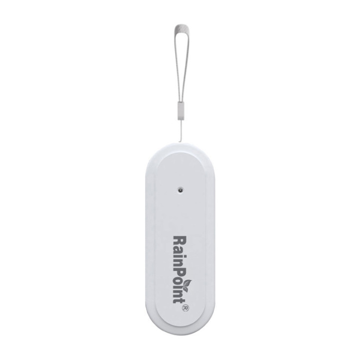 Rainpoint Smart+ Termoigrometro Intelligente