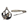 Dogness Set Guinzaglio 1,5m + Pettorina per Cani (Moro)