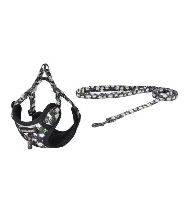 Dogness Set Guinzaglio 1,5m + Pettorina per Cani (Multicolore)