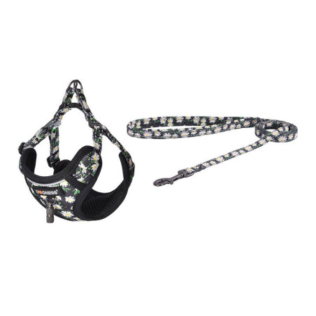 Dogness Set Guinzaglio 1,5m + Pettorina per Cani (Multicolore)