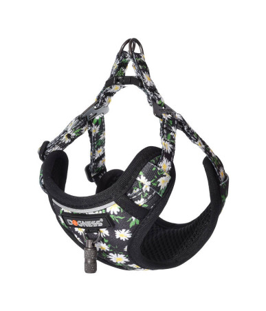 Dogness Set Guinzaglio 1,5m + Pettorina per Cani (Multicolore)