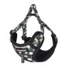 Dogness Set Guinzaglio 1,5m + Pettorina per Cani (Multicolore)