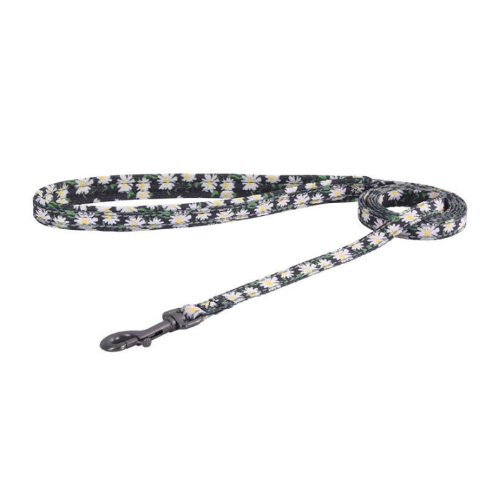 Dogness Set Guinzaglio 1,5m + Pettorina per Cani (Multicolore)