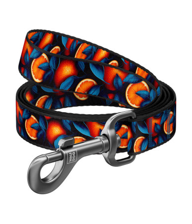Guinzaglio per cani Waudog Nylon, fantasia "Arance", lunghezza 122 cm