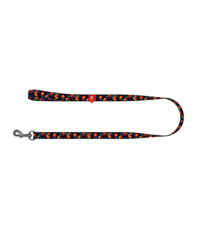 Guinzaglio per cani Waudog Nylon, fantasia "Arance", lunghezza 122 cm