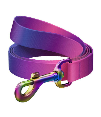 WAUDOG Guinzaglio per cani in nylon sfumato, 20mm, 122cm, Viola