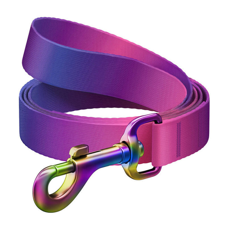 WAUDOG Guinzaglio per cani in nylon sfumato, 20mm, 122cm, Viola