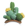 Costume in maglia per Loona Cactus Premium