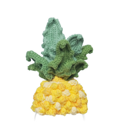 Costume in maglia per Loona Pineapple Premium