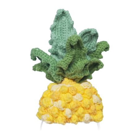 Costume in maglia per Loona Pineapple Premium