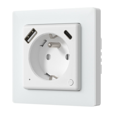 Avatto WOT20-FR Smart plug