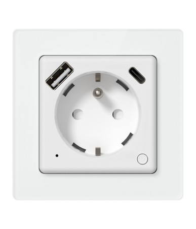 Avatto WOT20-FR Smart plug