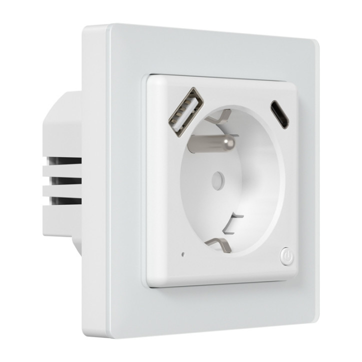 Avatto WOT20-FR Smart Plug Wi-Fi
