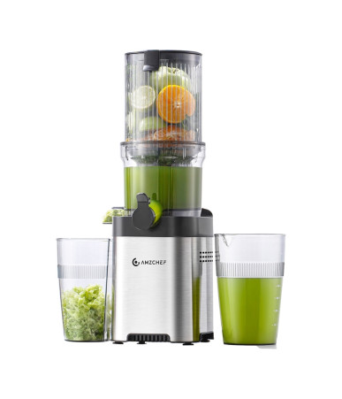 Amzchef Slow Juicer CE-ZM1902M-SV (Argento)
