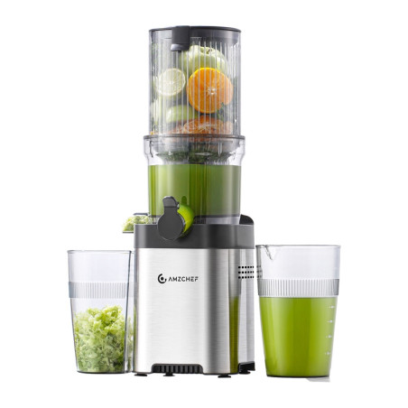 Amzchef Slow Juicer CE-ZM1902M-SV (Argento)