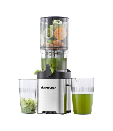 AMZCHEF CE-ZM1902B-SV Slow Juicer Argento