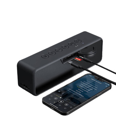 Blitzwolf BW-WA4 30W 4000mAh bluetooth speaker
