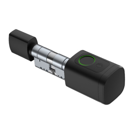 Avatto SDL-V1-B60 Serratura Smart Digitale 60mm Nero