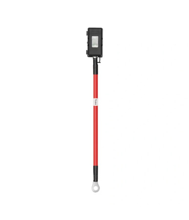 EcoFlow Cavo Caricatore Alternatore con Fusibile