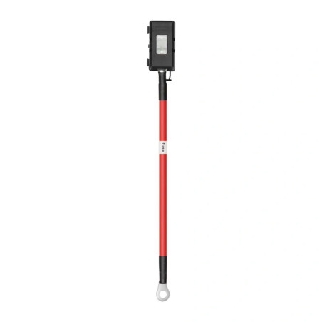 EcoFlow Cavo Caricatore Alternatore con Fusibile