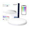 Yeelight Arwen Ceiling Light 450S Lampada da Soffitto LED 50W Bianco